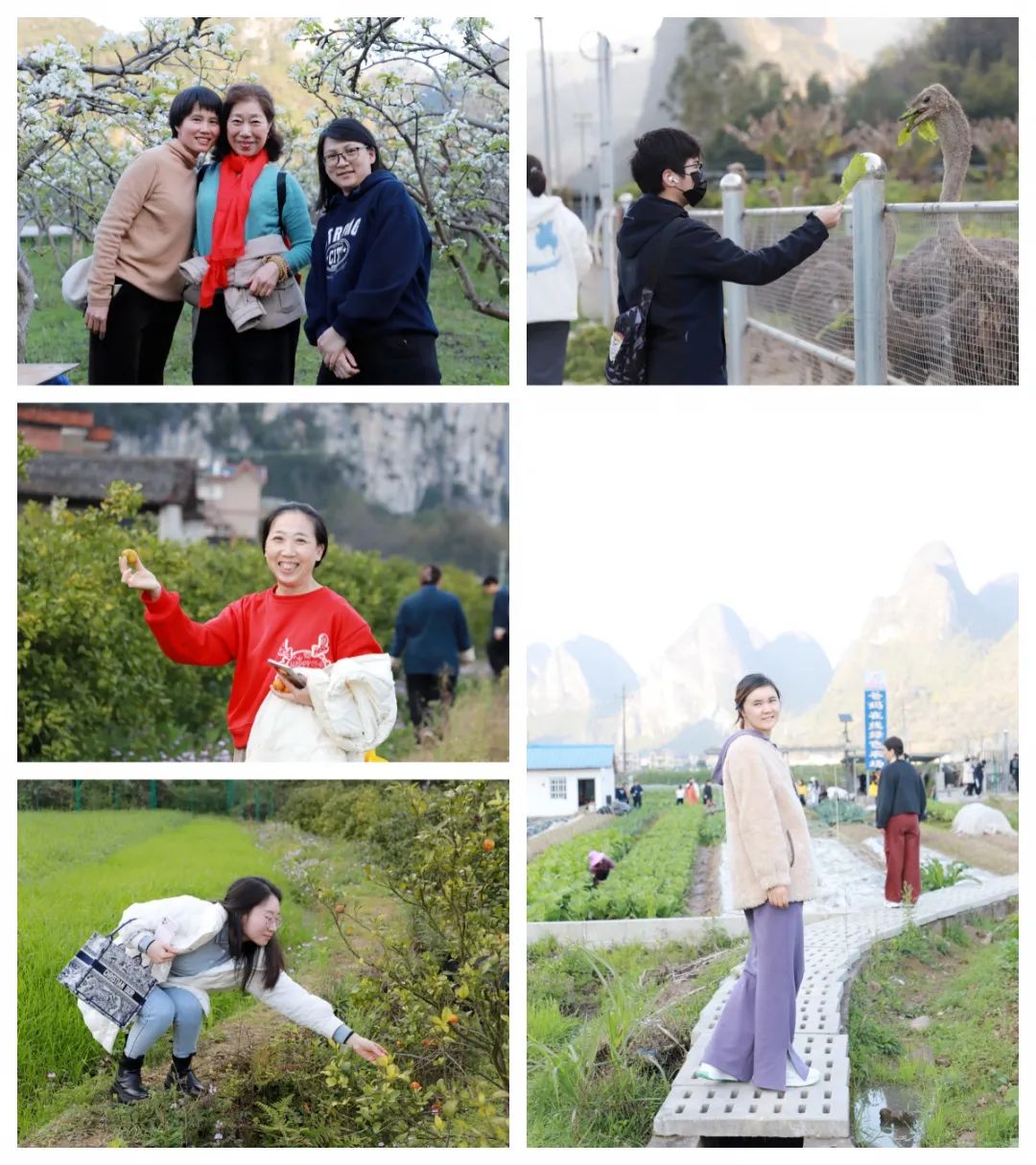 五天覺醒之旅，開啟幸福人生新篇章——第76期“生命覺醒 健康幸?！迸嘤枅A滿結束