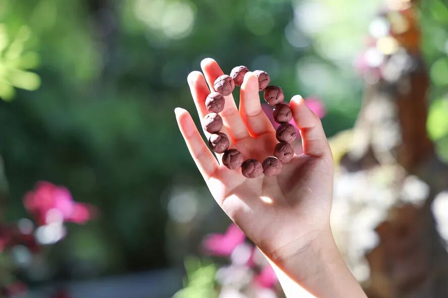 1758417811130063.jpg 1758417811130063.jpg